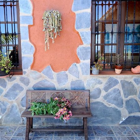 Finquita La Villa Icod De Los Vinos Extérieur photo